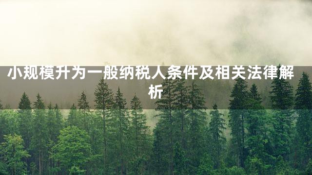 小规模升为一般纳税人条件及相关法律解析