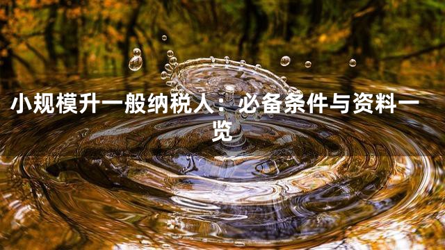 小规模升一般纳税人：必备条件与资料一览
