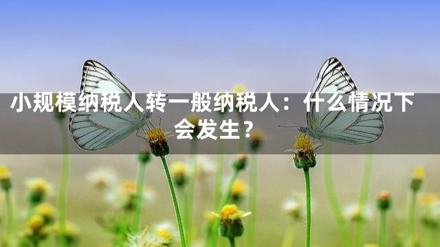小规模纳税人转一般纳税人：什么情况下会发生？