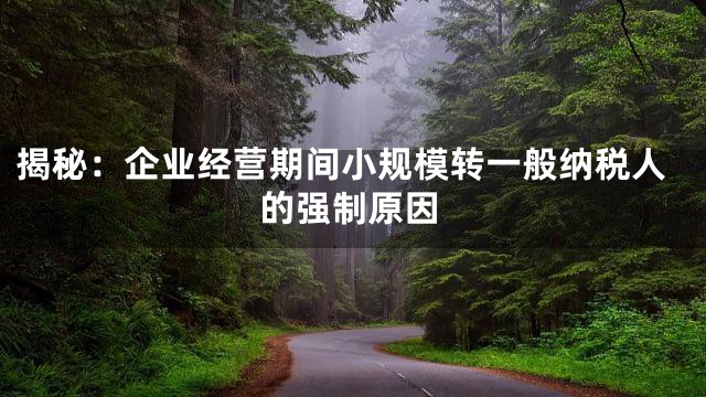 揭秘：企业经营期间小规模转一般纳税人的强制原因