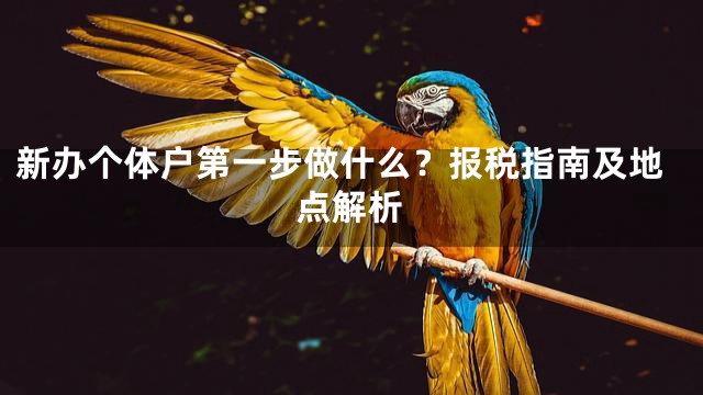 新办个体户第一步做什么？报税指南及地点解析