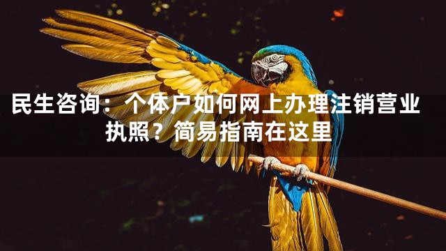 民生咨询：个体户如何网上办理注销营业执照？简易指南在这里