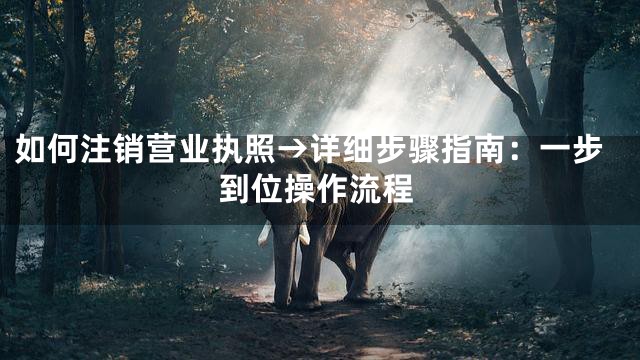 如何注销营业执照→详细步骤指南：一步到位操作流程