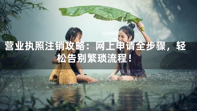 营业执照注销攻略：网上申请全步骤，轻松告别繁琐流程！