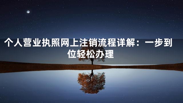 个人营业执照网上注销流程详解：一步到位轻松办理