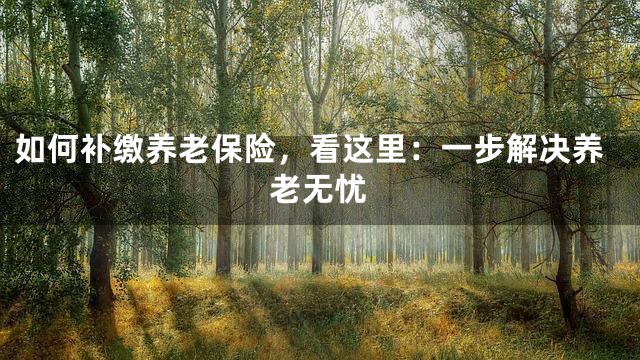 如何补缴养老保险，看这里：一步解决养老无忧