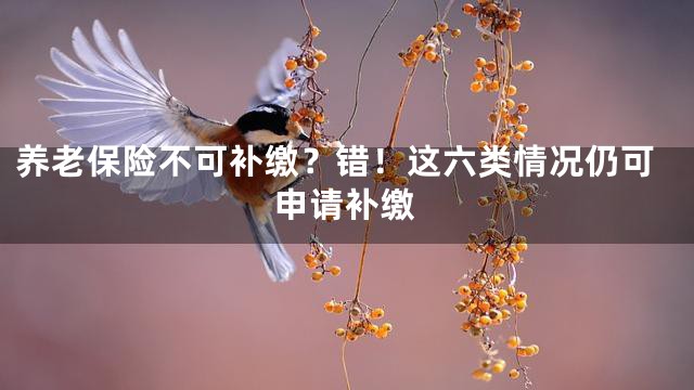 养老保险不可补缴？错！这六类情况仍可申请补缴