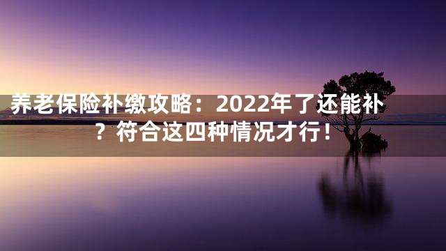 养老保险补缴攻略：2022年了还能补？符合这四种情况才行！