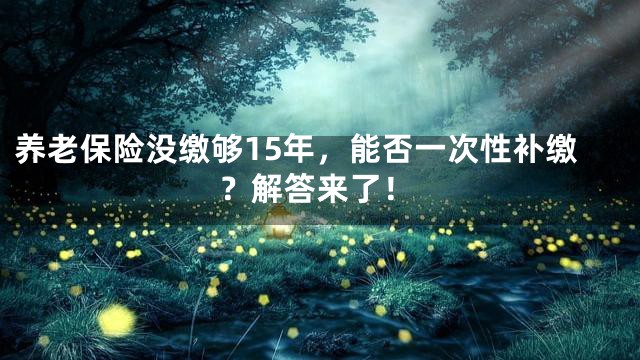 养老保险没缴够15年，能否一次性补缴？解答来了！