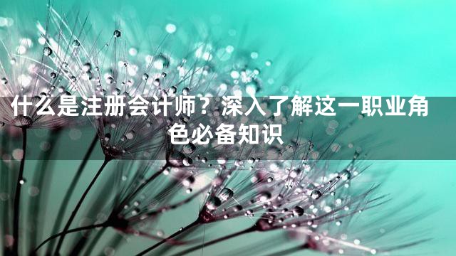 什么是注册会计师？深入了解这一职业角色必备知识