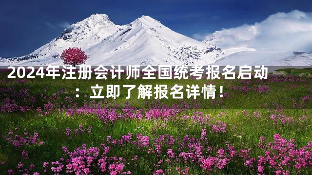 2024年注册会计师全国统考报名启动：立即了解报名详情！