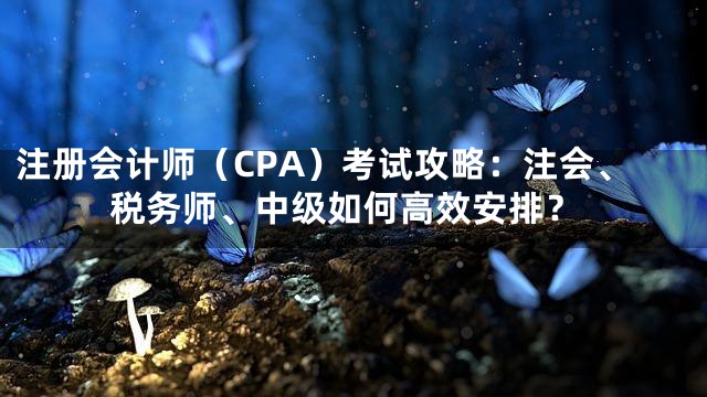 注册会计师（CPA）考试攻略：注会、税务师、中级如何高效安排？