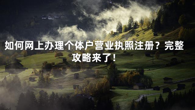 如何网上办理个体户营业执照注册？完整攻略来了！