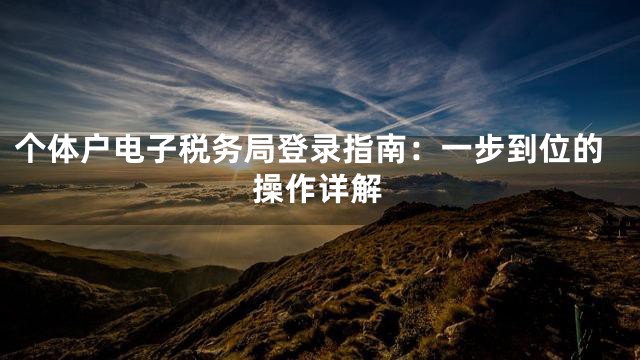 个体户电子税务局登录指南：一步到位的操作详解