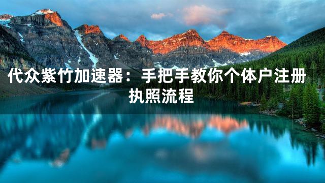 代众紫竹加速器：手把手教你个体户注册执照流程