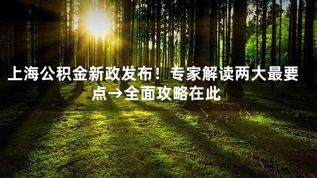 上海公积金新政发布！专家解读两大最要点→全面攻略在此