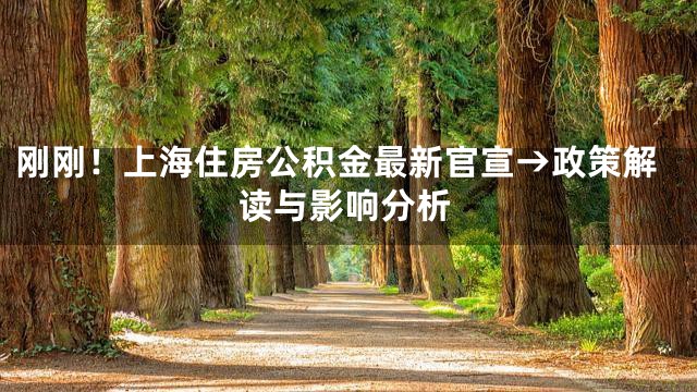 刚刚！上海住房公积金最新官宣→政策解读与影响分析