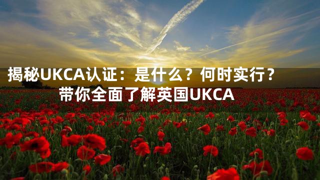 揭秘UKCA认证：是什么？何时实行？带你全面了解英国UKCA