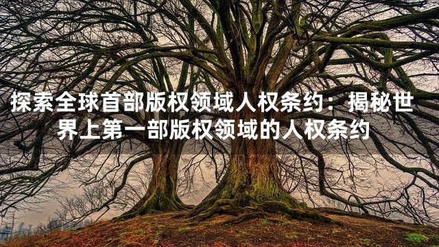 探索全球首部版权领域人权条约：揭秘世界上第一部版权领域的人权条约