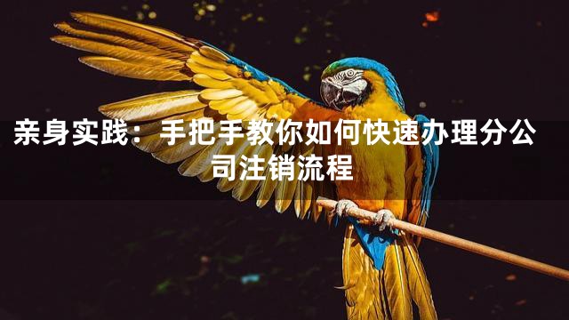 亲身实践：手把手教你如何快速办理分公司注销流程