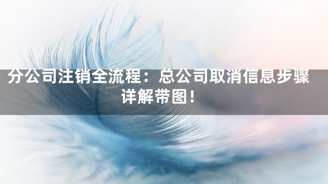 分公司注销全流程：总公司取消信息步骤详解带图！