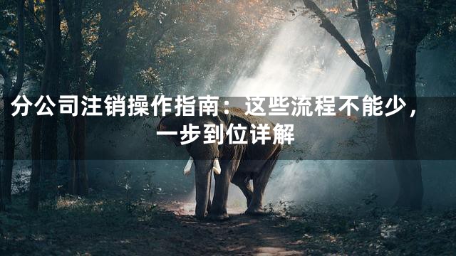 分公司注销操作指南：这些流程不能少，一步到位详解