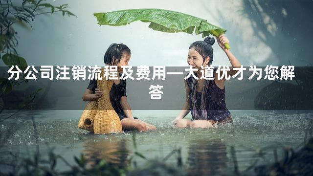 分公司注销流程及费用—大道优才为您解答