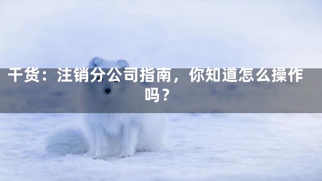 干货：注销分公司指南，你知道怎么操作吗？