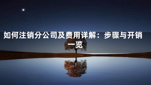 如何注销分公司及费用详解：步骤与开销一览