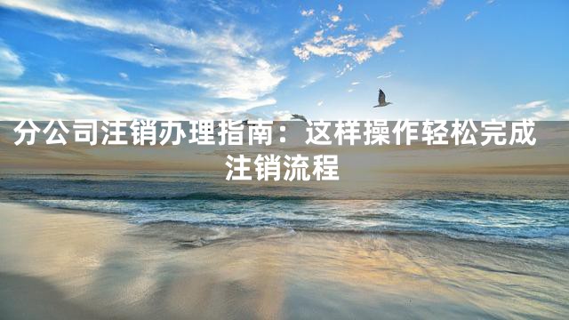 分公司注销办理指南：这样操作轻松完成注销流程