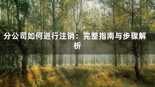 分公司如何进行注销：完整指南与步骤解析