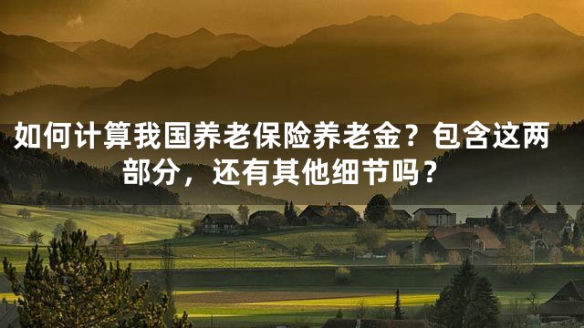 如何计算我国养老保险养老金？包含这两部分，还有其他细节吗？