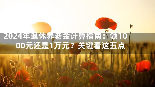2024年退休养老金计算指南：领1000元还是1万元？关键看这五点