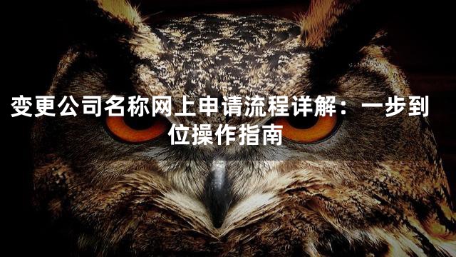 变更公司名称网上申请流程详解：一步到位操作指南
