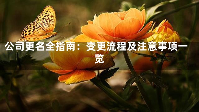 公司更名全指南：变更流程及注意事项一览