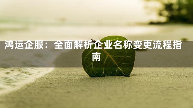 鸿运企服：全面解析企业名称变更流程指南