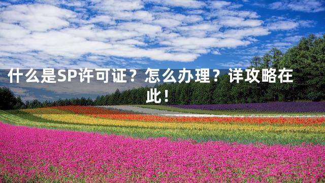 什么是SP许可证？怎么办理？详攻略在此！
