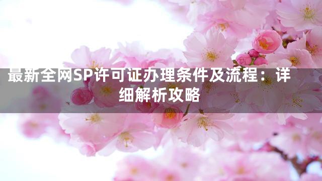 最新全网SP许可证办理条件及流程：详细解析攻略