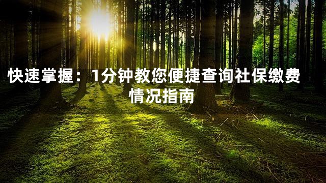 快速掌握：1分钟教您便捷查询社保缴费情况指南