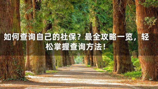 如何查询自己的社保？最全攻略一览，轻松掌握查询方法！