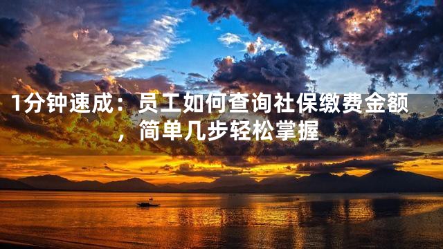 1分钟速成：员工如何查询社保缴费金额，简单几步轻松掌握