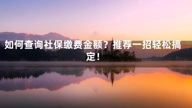 如何查询社保缴费金额？推荐一招轻松搞定！