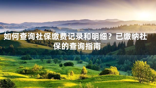 如何查询社保缴费记录和明细？已缴纳社保的查询指南