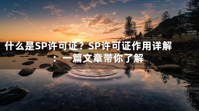 什么是SP许可证？SP许可证作用详解：一篇文章带你了解