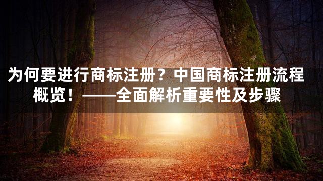 为何要进行商标注册？中国商标注册流程概览！——全面解析重要性及步骤
