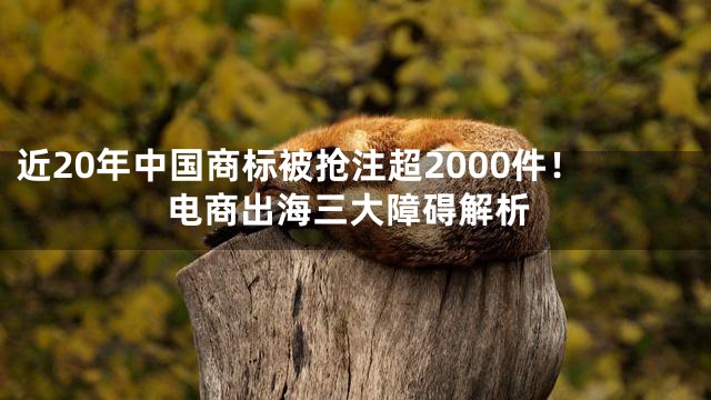 近20年中国商标被抢注超2000件！电商出海三大障碍解析