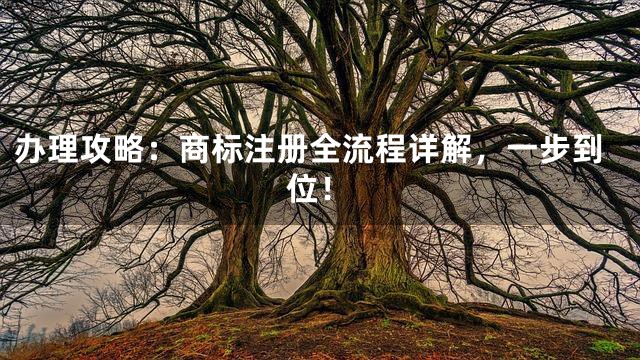 办理攻略：商标注册全流程详解，一步到位！