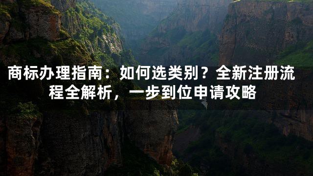 商标办理指南：如何选类别？全新注册流程全解析，一步到位申请攻略