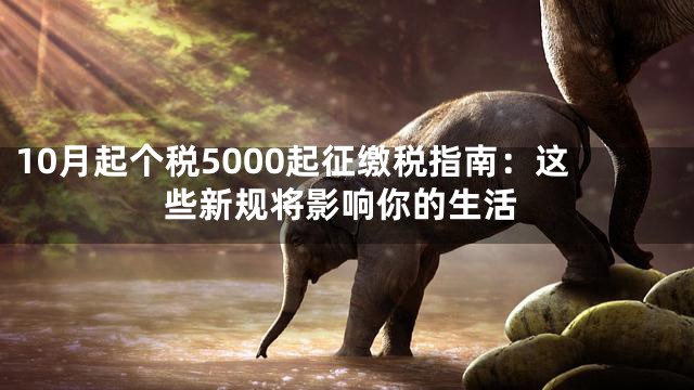 10月起个税5000起征缴税指南：这些新规将影响你的生活