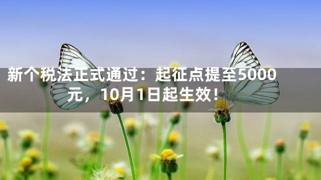 新个税法正式通过：起征点提至5000元，10月1日起生效！